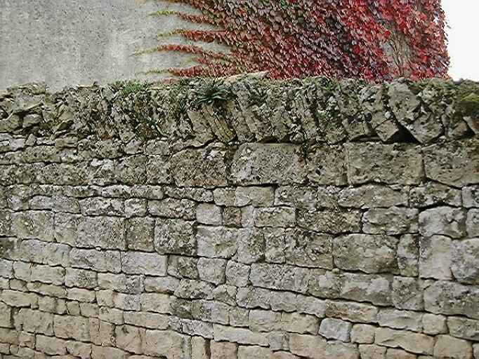 Détail du mur du jardin.
