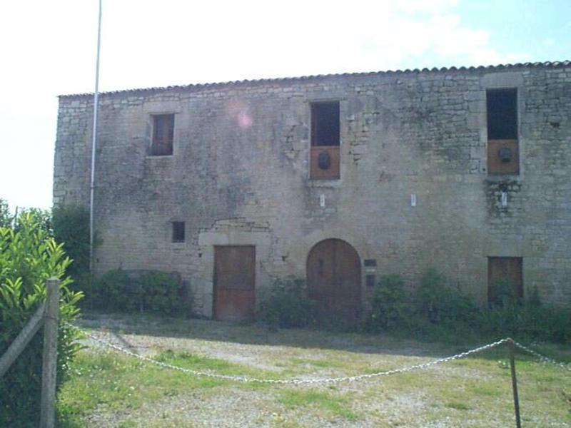 Anciens chais au sud, façade nord