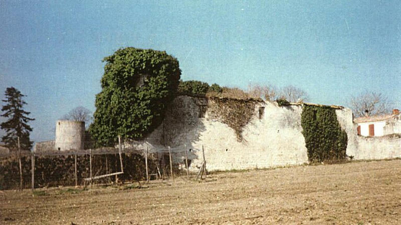 Anciens chais au sud et tours vus depuis le sud-ouest, avant la restauration