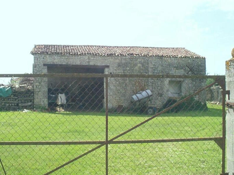 Hangar à l'ouest du chai, élévation nord