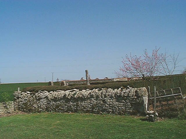 Cimetière privé de la famille Dubreuil-Marcusseau-Mansion, vue d'ensemble prise du sud-ouest.