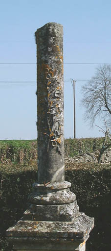 Cimetière privé de la famille Dubreuil-Marcusseau-Simonet-Mansion, vue du tombeau de Simonne Simonet, détail de la colonne brisée sculptée d'une branche de lierre.