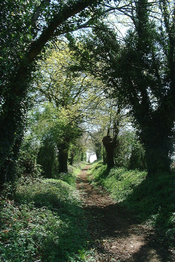 Chemin au sud-ouest de la Jusselandière, vue prise du nord vers le sud-ouest.