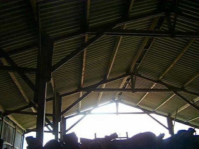 Dépendances, hangar et stabulation adossé à l'ancien hangar, vue de la charpente en bois.