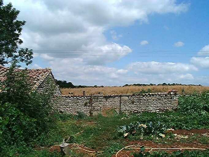 Cimetière privé sur la parcelle AP 28, vue de l'enclos prise du sud.