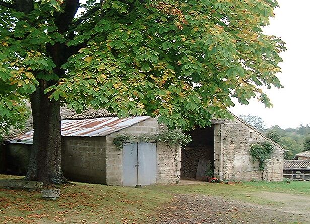 Dépendances, grange-étable au sud-ouest de la cour, élévation antérieure, vue prise de l'est.