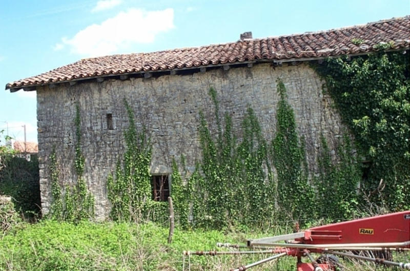 Elévation postérieure