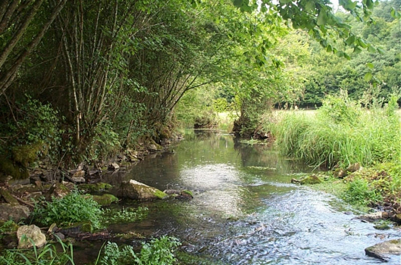 Vue de l'Or prise depuis le lavoir de la Mitonie