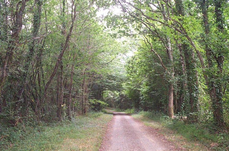 Voie communale entre Tabort et la Mitonie