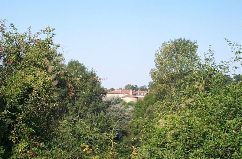 Vue du château depuis la route de Benest