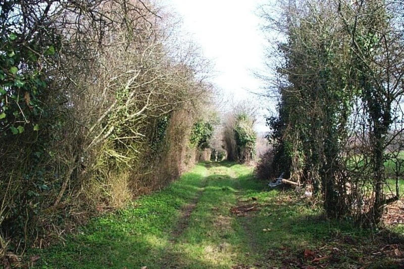 Chemin près de la Bertonnerie.
