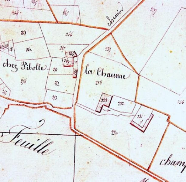 Extrait du plan cadastral de 1819 (n° 248, 249)