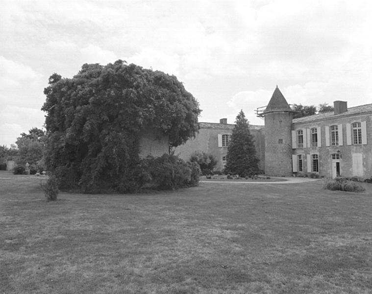 Logis et tour de l'aile ouest détruite, vue générale depuis le nord-ouest