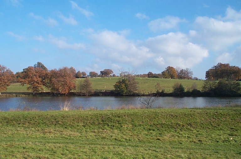 Paysage autour de l'étang d'Abzac.
