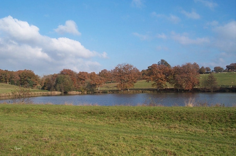 Paysage autour de l'étang d'Abzac.