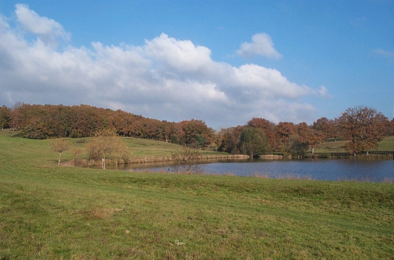 Paysage autour de l'étang d'Abzac.