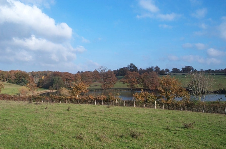 Paysage autour de l'étang d'Abzac.