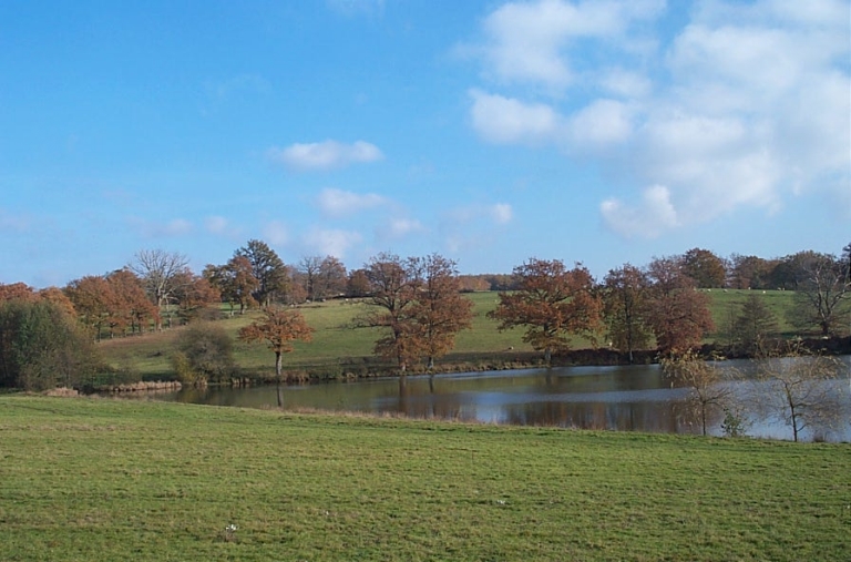 Paysage autour de l'étang d'Abzac.