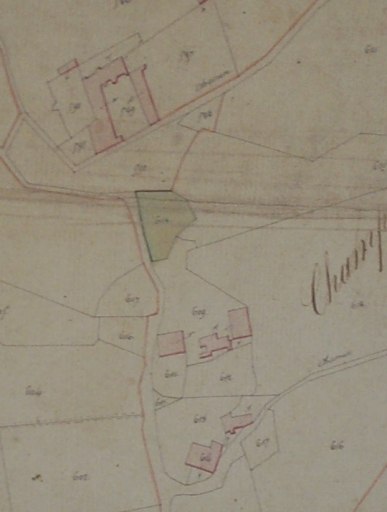 Extrait du plan cadastral de 1825. Château de Fayolle, étang et dépendances.