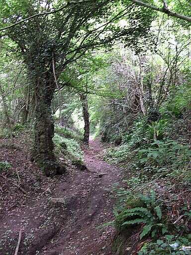 Chemin de randonnées de Bessé.