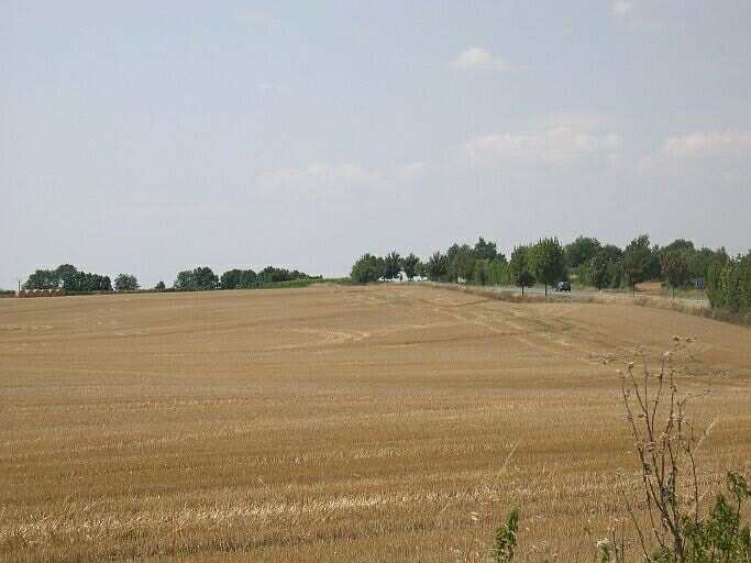 Vue prise depuis le silo, vers Mougon.