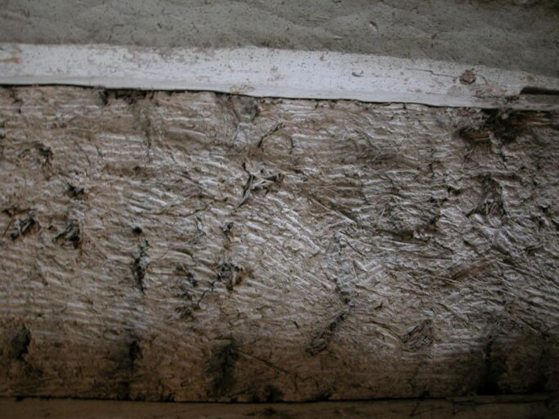 Dépendances est, écurie, plafond en torchis