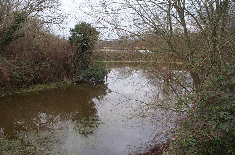 Fossé circulaire en eau près du manoir de Marcillac (Oradour-Fanais)