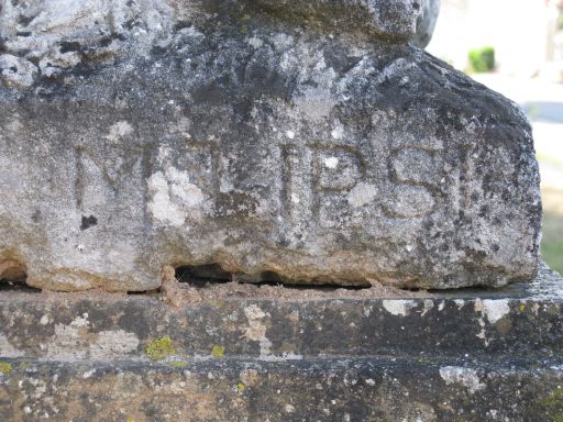 Détail de la signature : M. Lipsi.