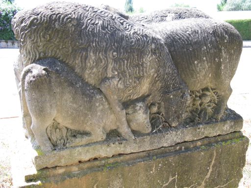 Vue d'ensemble de la face postérieure.