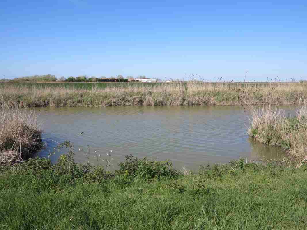 Cale, à l'origine couverte d'un petit hangar en bois, sur la rive sud du canal du Marais Sauvage, entre la porte du canal du Marais Sauvage et celle du canal de Vix.