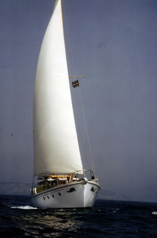 Dauphin Vert.