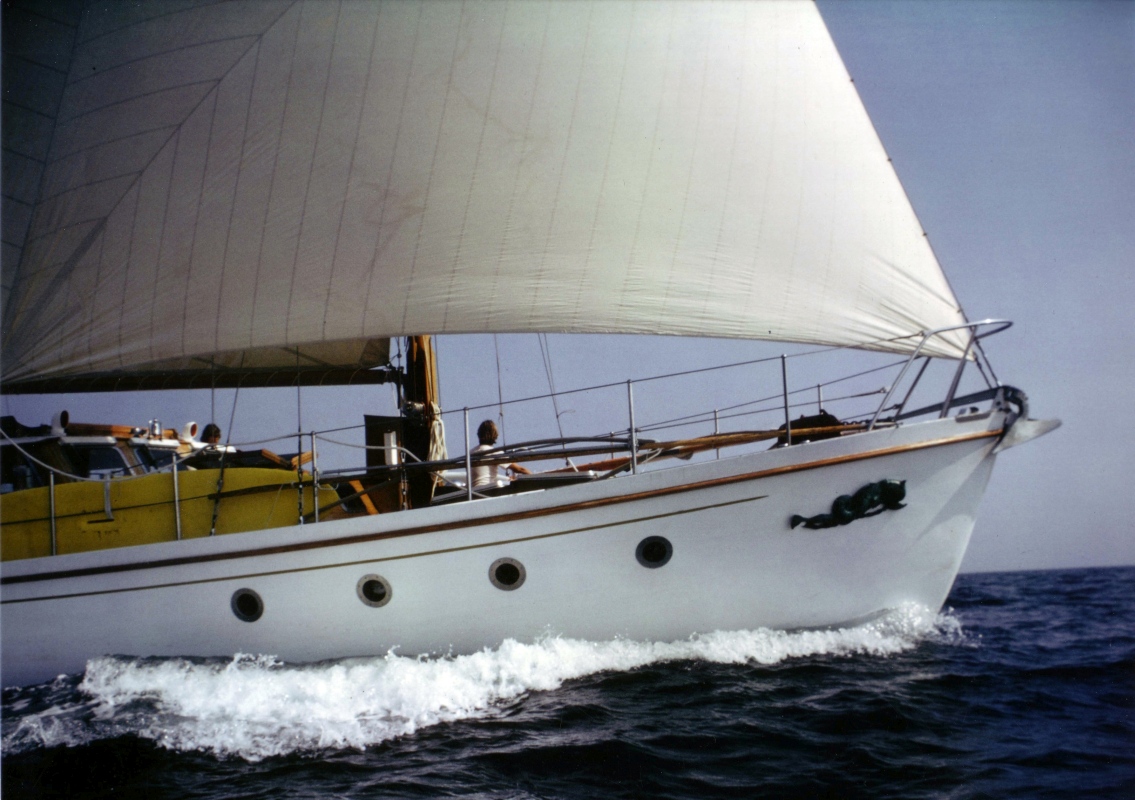 Dauphin Vert.