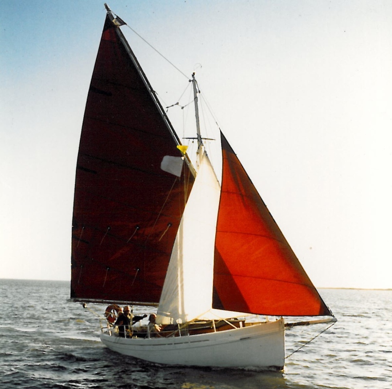 Petit Salé en régate dans les pertuis charentais, en 2009.