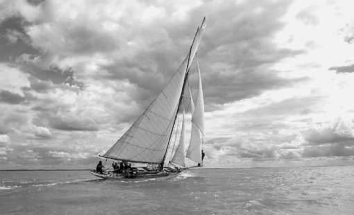 Bateau VIOLA