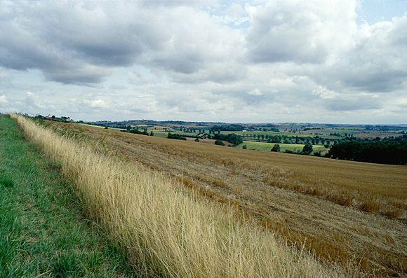 Paysage de la commune.