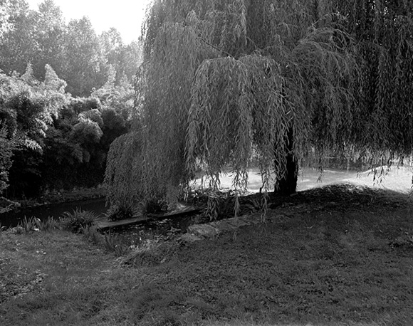 Jardin : terrasse et viviers descendant vers la Baïse.