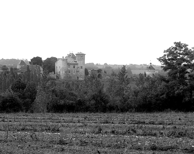 Vue d'ensemble depuis le nord est : château, ouvrage d'entrée, colombier.