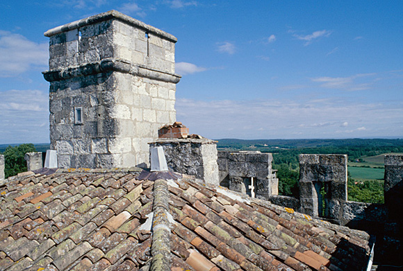 Donjon : couverture et tourelle d'escalier.