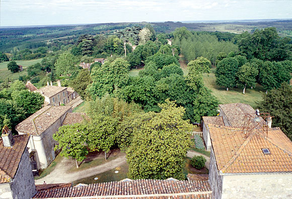 Vue prise depuis le donjon vers le nord-ouest : dépendances, tour, corps de logis nord.