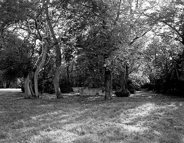 Orée du parc et puits, vue prise nord-est.