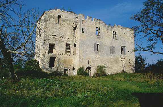 Maison forte dite Château d'Escalup.