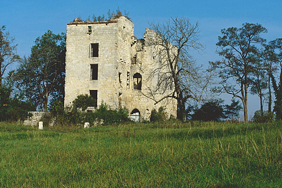 Tour et corps de logis, vue prise du sud-est.