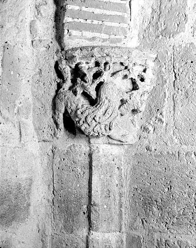 Eglise, chapelle sud, culot sud-est : lion.