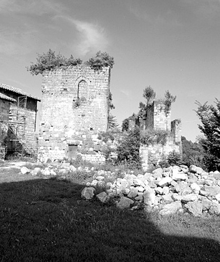 Donjon et ruines du logis seigneurial depuis l'ouest.