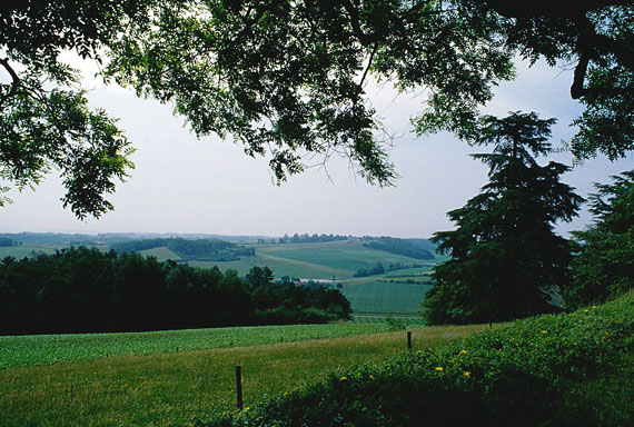 Vue d'ensemble de l'élévation antérieure.