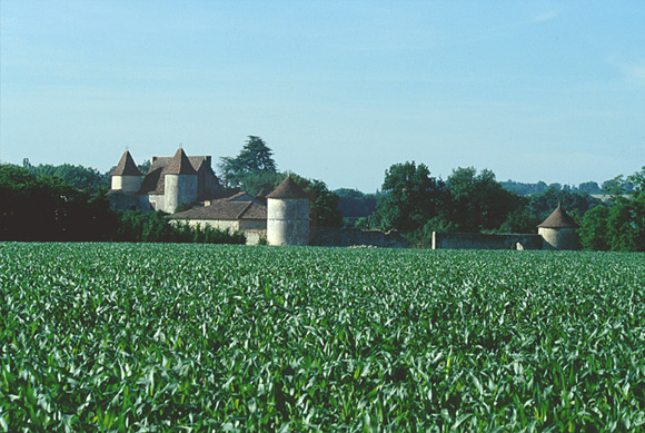 Vue d'ensemble depuis le nord.