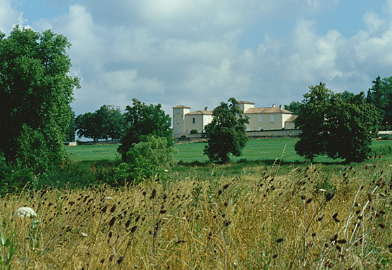 Vue du site depuis le sud.