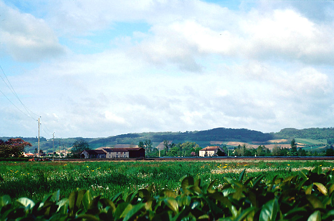 Paysage de la vallée du Lot à Bourran, vue prise du sud.