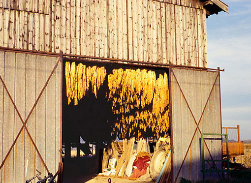 Séchoir à tabac à Sotte, porte : séchage du tabac.