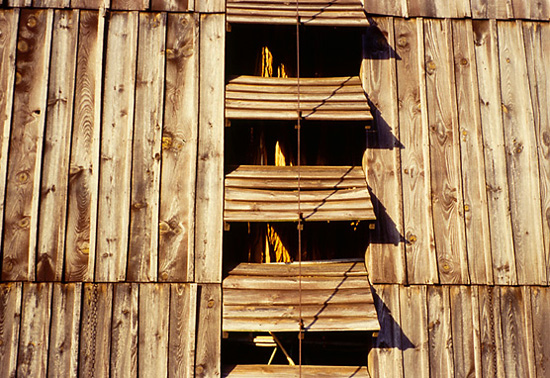 Séchoir à tabac à Sotte, détail des vantaux.